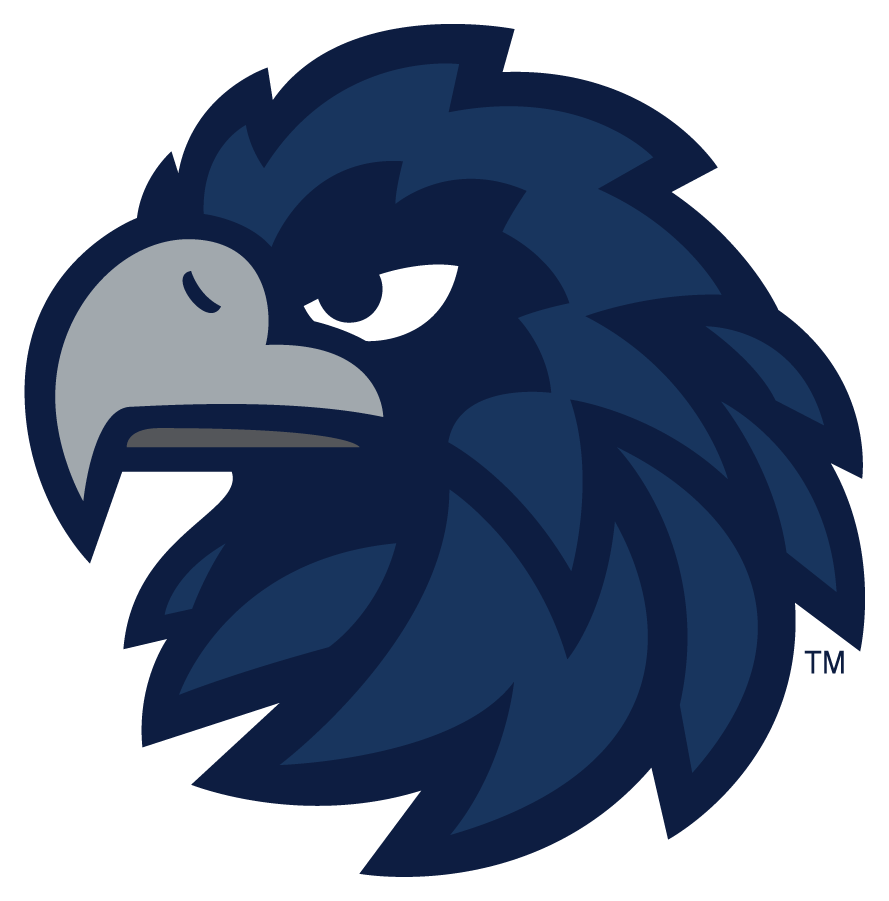 Monmouth Hawks 2014-Pres Secondary Logo v7 diy iron on heat transfer